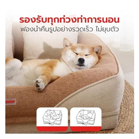 เบาะรองนั่ง PETSTAR ไซซ์ M สีเขียว_3