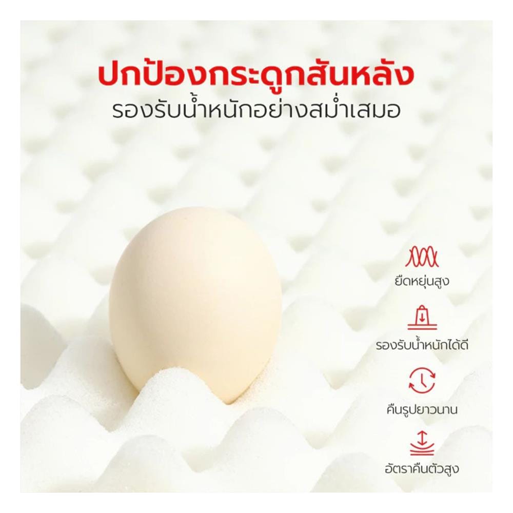 เบาะรองนั่ง PETSTAR PSRW0472 สีเขียว