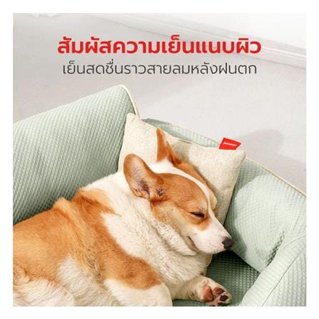 เบาะรองนั่ง PETSTAR PSRW0472 สีเขียว_2