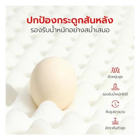 เบาะรองนั่ง PETSTAR PSRW0472 สีเขียว_6