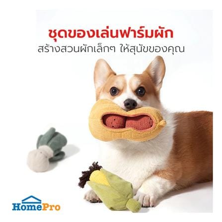 ของเล่นสุนัข PETSTAR PSTR0452 (ชุด 3 ชิ้น)_1