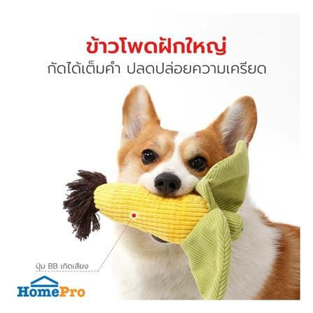 ของเล่นสุนัข PETSTAR PSTR0452 (ชุด 3 ชิ้น)_3