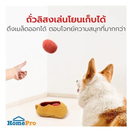 ของเล่นสุนัข PETSTAR PSTR0452 (ชุด 3 ชิ้น)_4