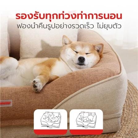เบาะรองนั่ง PETSTAR ไซซ์ S สีเขียว_1