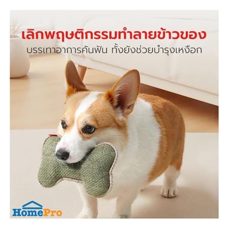 ของเล่นสุนัข กระดูก PETSTAR PSTR0459_2