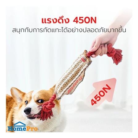 ของเล่นสุนัข PETSTAR PSTR0411 สีน้ำตาลอ่อน_2