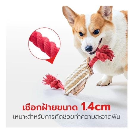 ของเล่นสุนัข PETSTAR PSTR0411 สีน้ำตาลอ่อน_5