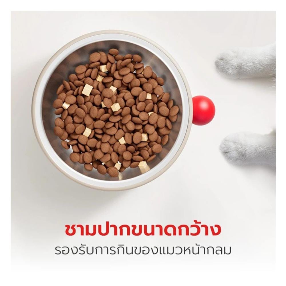 ชามอาหารสัตว์เลี้ยง PETSTAR PSRQ0205 สีน้ำตาลอ่อน