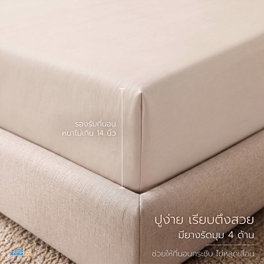 ชุดผ้าปูที่นอน 6 ฟุต (ชุด 3 ชิ้น) BENETTA LUMINA สี CREAM