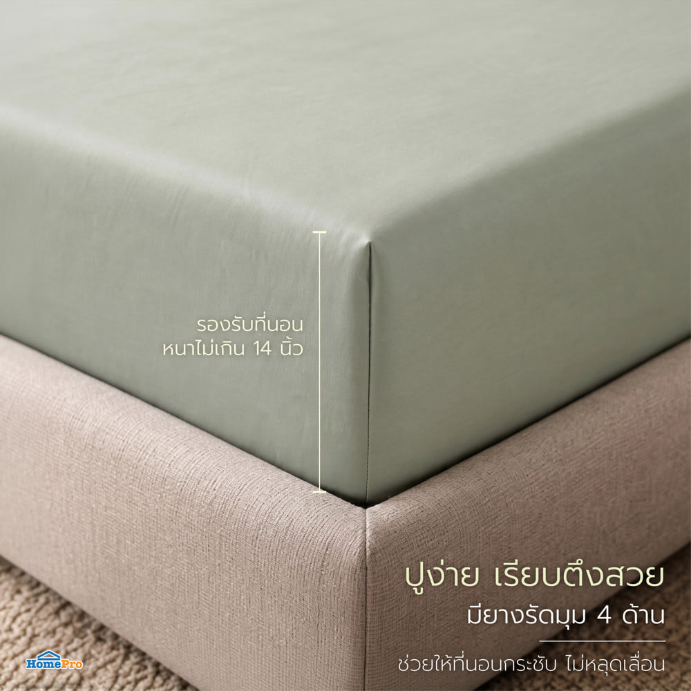 ชุดผ้าปูที่นอน 6 ฟุต (ชุด 3 ชิ้น) BENETTA LUMINA สี GREEN
