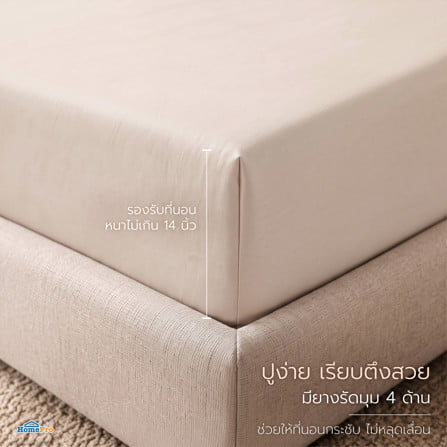 ชุดผ้าปูที่นอน 5 ฟุต (ชุด 3 ชิ้น) BENETTA LUMINA สี CREAM_8