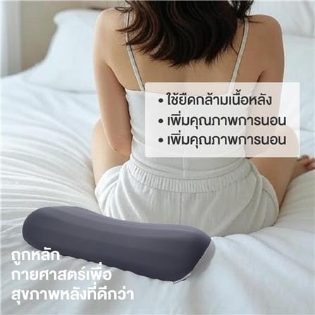 เบาะรองหลัง ERGOTREND 25.7x9.3 นิ้ว สี GREY/NAVY_4