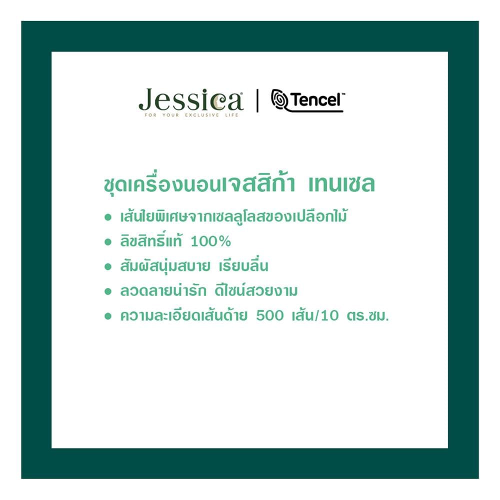 ชุดผ้าปูที่นอน 6 ฟุต (ชุด 5 ชิ้น) JESSICA BAMBI 20164-T027