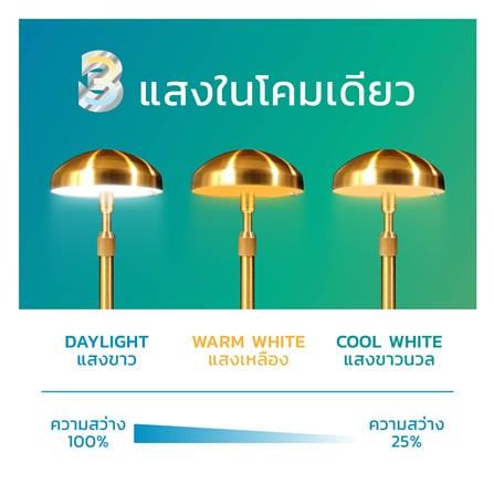 ไฟตั้งโต๊ะ LAMPTAN LED MIDNIGHT GOLD 3 วัตต์ สีทอง_7