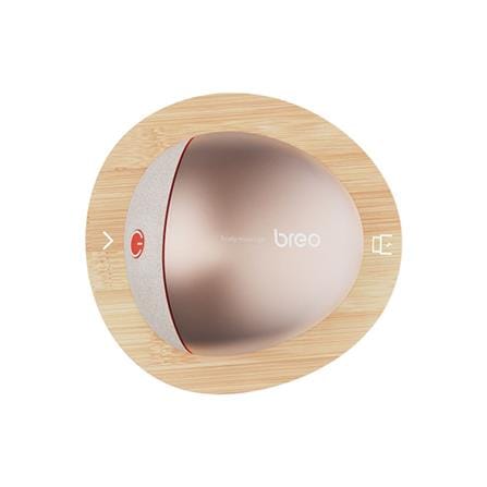 เครื่องนวดไฟฟ้า BREO SCALP MINI 2 สีโรสโกลด์_1