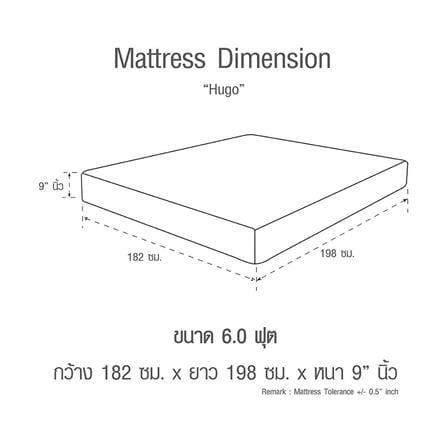 ที่นอนพ็อกเก็ตสปริง 6 ฟุต SERA รุ่น HUGO_7