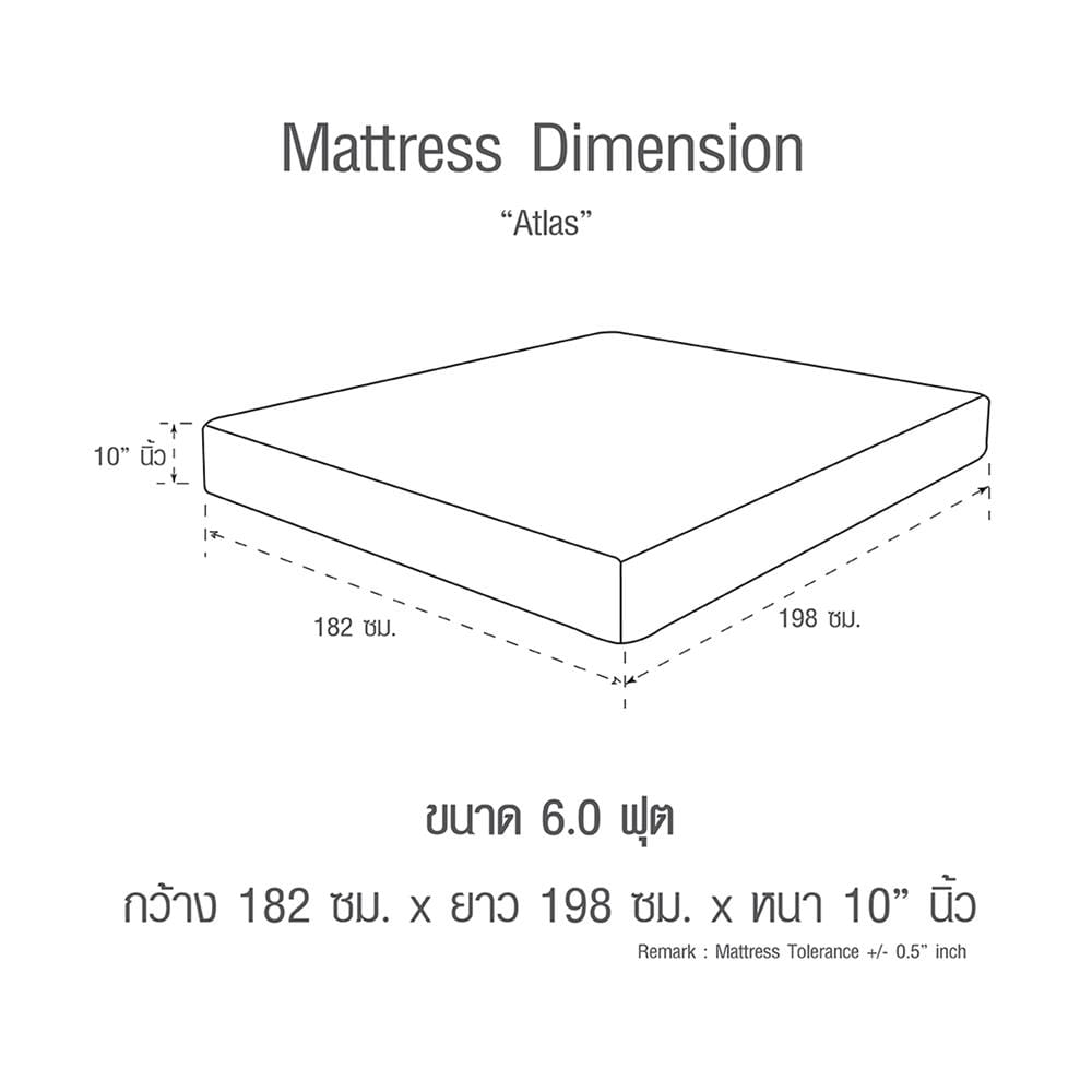 ที่นอนพ็อกเก็ตสปริง 6 ฟุต SERA รุ่น ATLAS