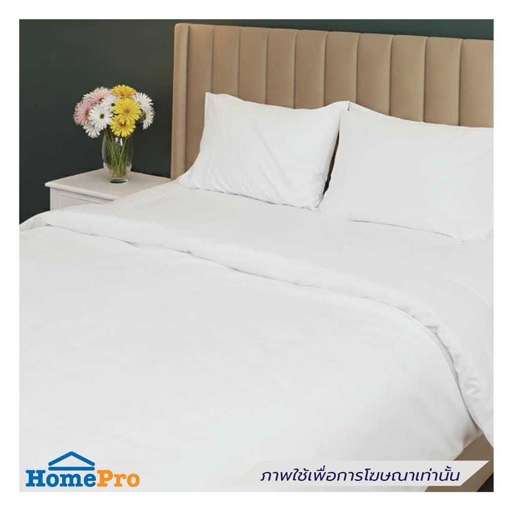 ผ้าปูที่นอน DREAMERY CT 250T SATEEN หนา 12 นิ้ว 74x110 นิ้ว สีขาว (แพ็ก 2 ชิ้น)