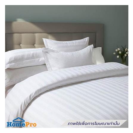 ผ้าปูที่นอน DREAMERY CT 250T STRIPE หนา 12 นิ้ว 74x110 นิ้ว สีขาว (แพ็ก 2 ชิ้น)_3