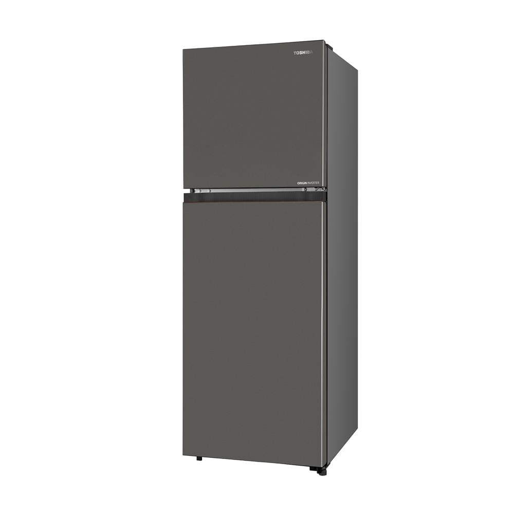 ตู้เย็น 2 ประตู TOSHIBA GR-RT310WE-PMTH(50) 8.4 คิว สีเงินเข้ม