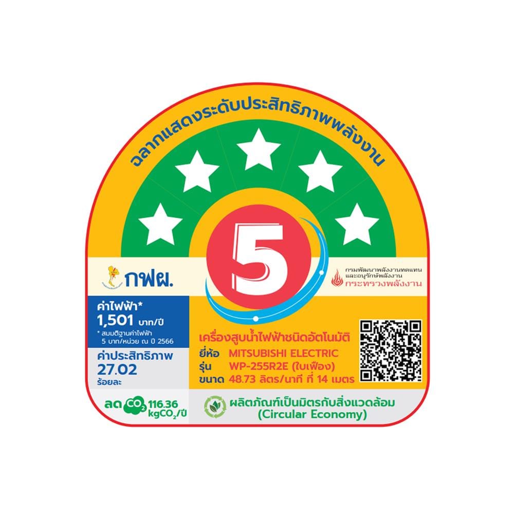 ปั๊มอัตโนมัติ MITSUBISHI WP-255R2E 250 วัตต์