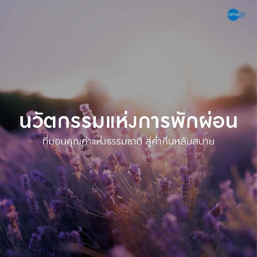 ที่นอน 3.5 ฟุต OMAZZ FINCHLEY (พร้อมชุดเครื่องนอน 6 ชิ้น)