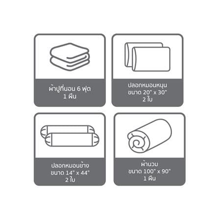 ชุดผ้าปูที่นอน 6 ฟุต (ชุด 6 ชิ้น) SATIN PLUS PRINTED SERIES PP036_5