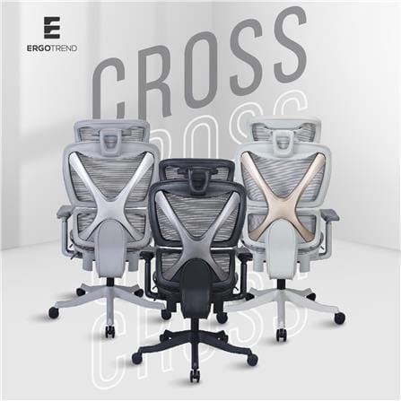 เก้าอี้สุขภาพ ERGOTREND ULTIMATE CROSS สีเทา_3