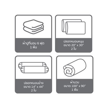 ชุดผ้าปูที่นอน 6 ฟุต (ชุด 6 ชิ้น) SATIN PLUS PRINTED SERIES PP037_6