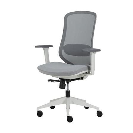 เก้าอี้สุขภาพ MODERNFORM LIMB สีเทา_0
