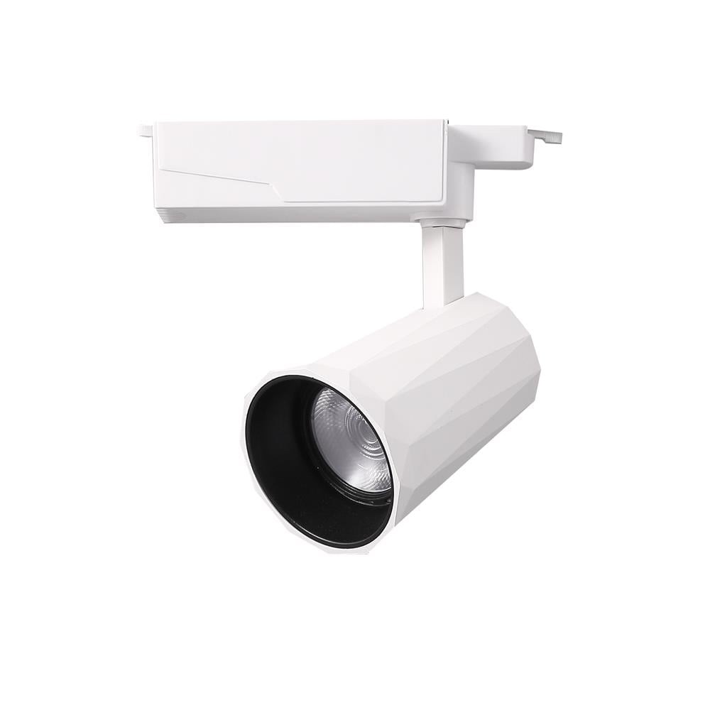 แทรคไลท์ติดราง LED CARINI DV35 35 วัตต์ DAYLIGHT/COOL WHITE/WARM WHITE สีขาว