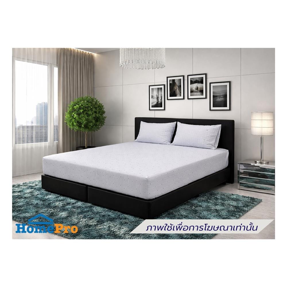 ชุดผ้าปูที่นอน 5 ฟุต (ชุด 5 ชิ้น) STEVENS PURE COTTON FY02