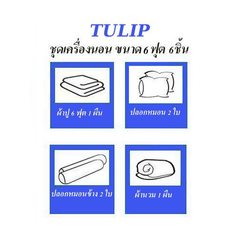 ชุดผ้าปูที่นอน 6 ฟุต (ชุด 6 ชิ้น) JESSICA TENCEL 20209-T864