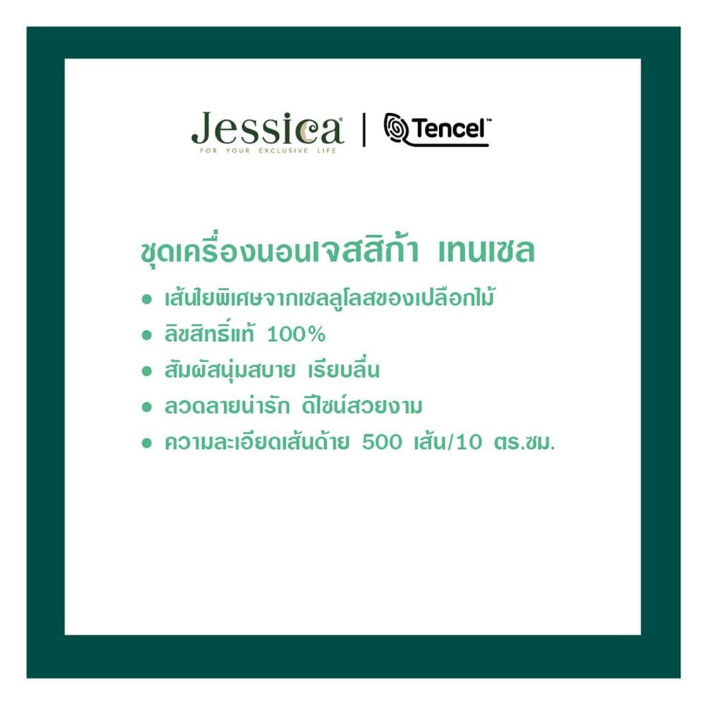 ชุดผ้าปูที่นอน 5 ฟุต (ชุด 6 ชิ้น) JESSICA TENCEL 22015-T864