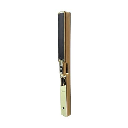 กลอนดิจิตอล HEXA P300-PRO สี GOLDEN-BLACK_2