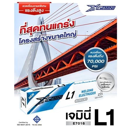 ลวดเชื่อมไฟฟ้าเหล็ก GEMINI L1 2.6x300 มม._2
