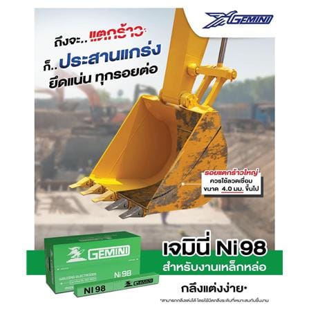 ลวดเชื่อมเหล็กหล่อ GEMINI NI98 2.6x300 มม._5