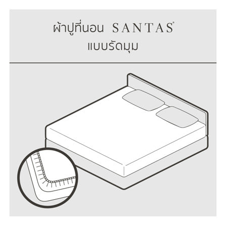 ชุดผ้าปูที่นอน 3.5 ฟุต (ชุด 3 ชิ้น) SANTAS TEXIMA LUNARA SV_2