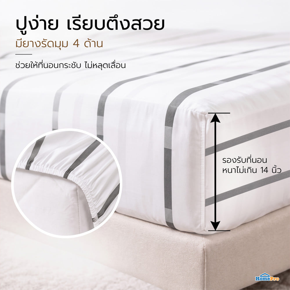ชุดผ้าปูที่นอน 6 ฟุต (ชุด 3 ชิ้น) HOME LIVING STYLE SLEEK สี WHITE & GREY