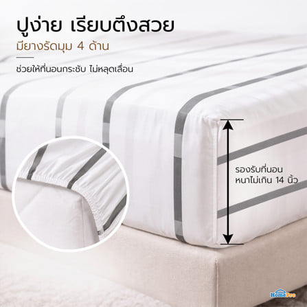 ชุดผ้าปูที่นอน 6 ฟุต (ชุด 3 ชิ้น) HOME LIVING STYLE SLEEK สี WHITE & GREY_5