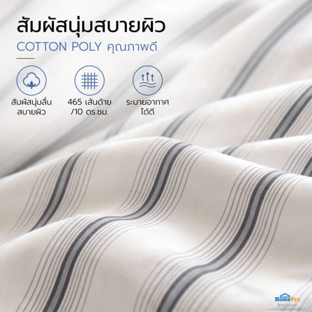 ชุดผ้าปูที่นอน 6 ฟุต (ชุด 3 ชิ้น) HOME LIVING STYLE SKYE สี WHITE & GREY_4