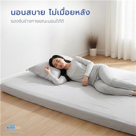 ที่นอนปิกนิก 5 ฟุต SNAZZ LAMOON สี GREY_9