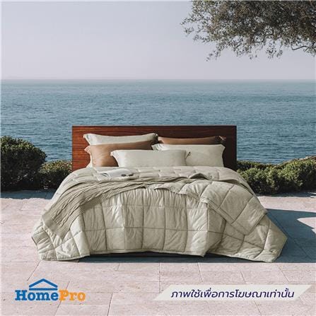 ผ้านวม DUNLOPILLO VERONA 70x90 นิ้ว VRN-04 S26 LATTE_4