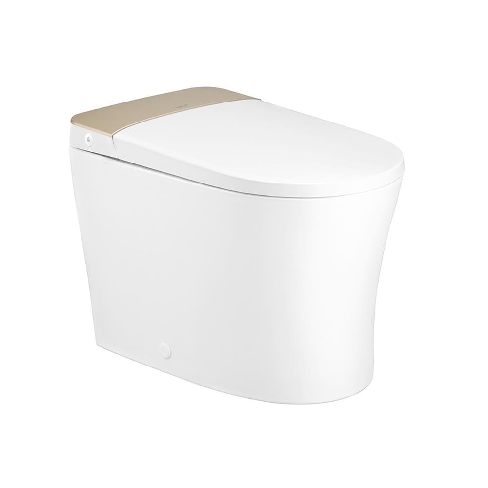 สุขภัณฑ์ 1 ชิ้น COTTO C109207 CORE EDITS 3.8 ลิตร สี WHITE/CARAMEL GOLD