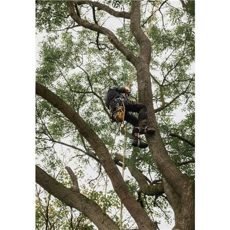 เลื่อยยนต์ไร้สาย (เฉพาะตัวเครื่อง) DEWALT DCMCST632N-B1 10 นิ้ว 60 โวลต์_6