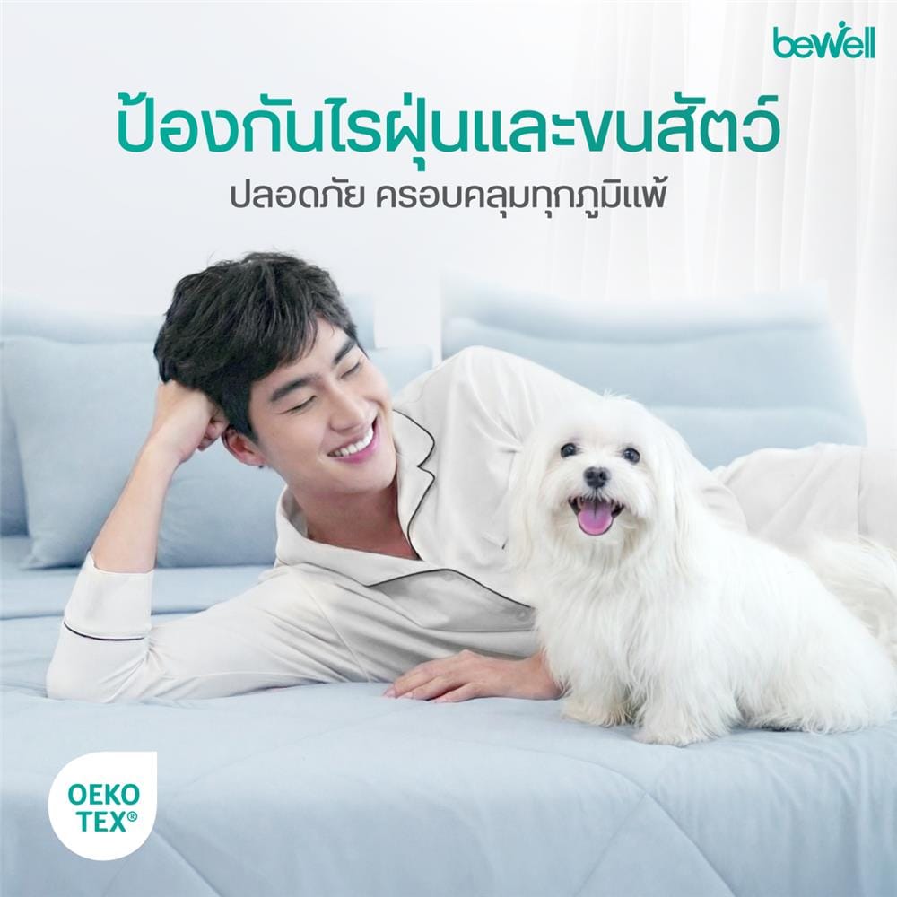 ชุดผ้าปูที่นอน 6 ฟุต (ชุด 5 ชิ้น) BEWELL COOLING สี GREY