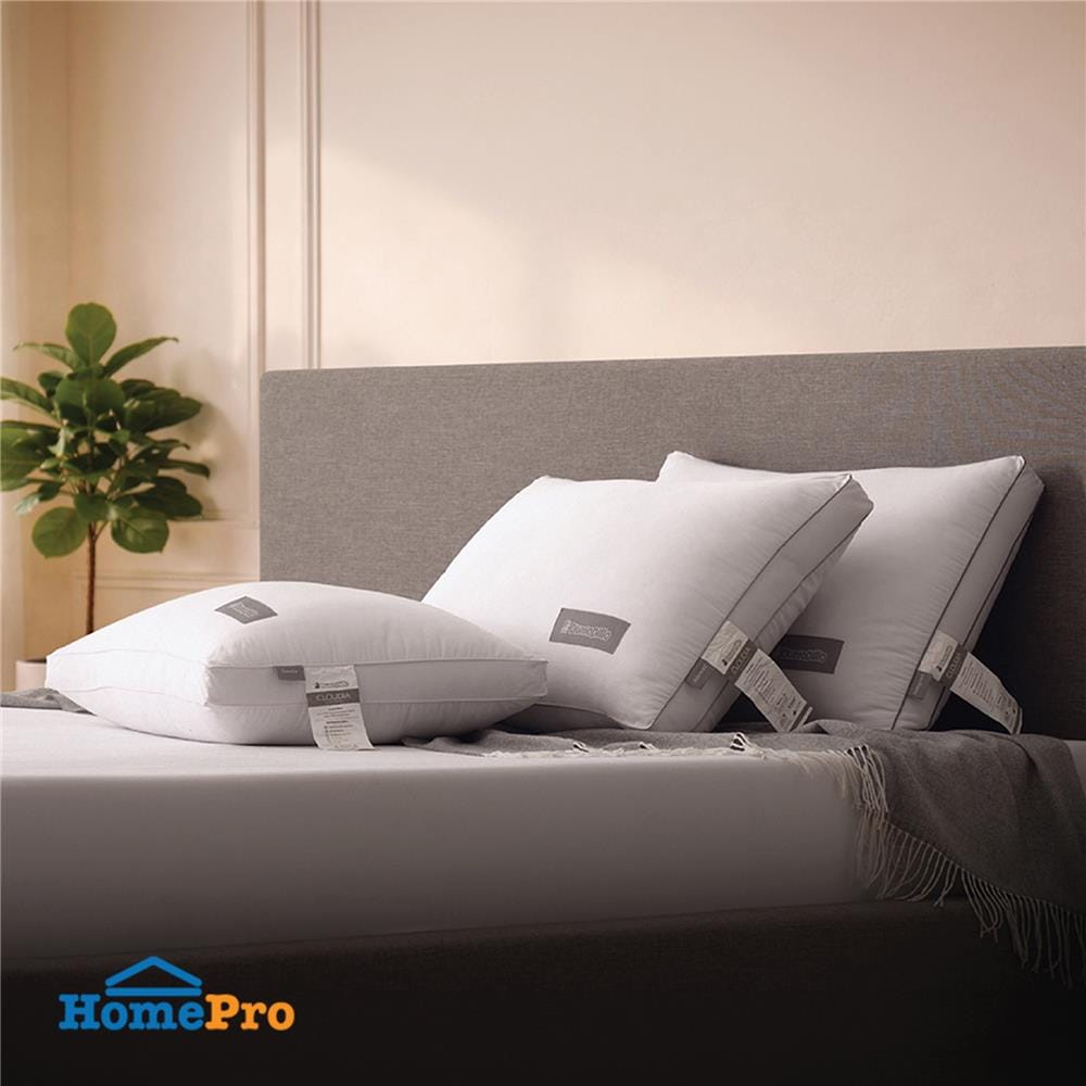 หมอนหนุน ไมโครไฟเบอร์ DUNLOPILLO CLOUDIA FIRM 20x30 นิ้ว สีขาว