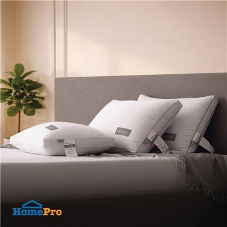 หมอนหนุน ไมโครไฟเบอร์ DUNLOPILLO CLOUDIA FIRM 20x30 นิ้ว สีขาว_6