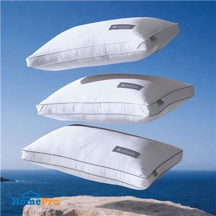 หมอนหนุน ไมโครไฟเบอร์ DUNLOPILLO CLOUDIA SOFT 20x30 นิ้ว สีขาว_7