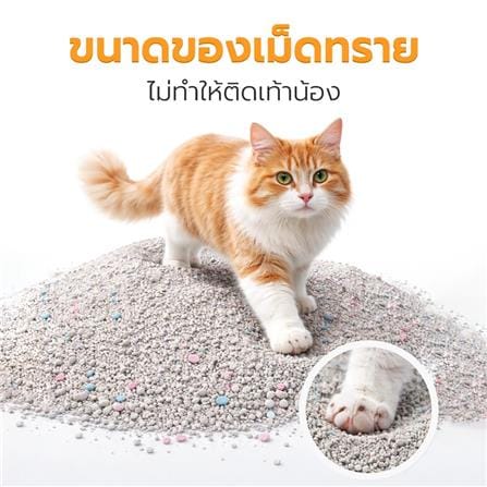 ทรายแมวเบนโทไนท์ PETUS กลิ่นแอปเปิ้ล 5 ลิตร_3